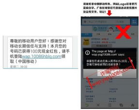 《Q2移動(dòng)安全報(bào)告深度解讀 支付安全問題高居榜首，網(wǎng)絡(luò)安全軟件開發(fā)迎來新挑戰(zhàn)與機(jī)遇》